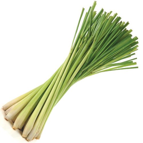 Lemongrass oil - Certified Organic  3